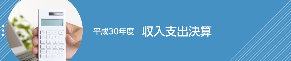 平成30年度　収入支出決算