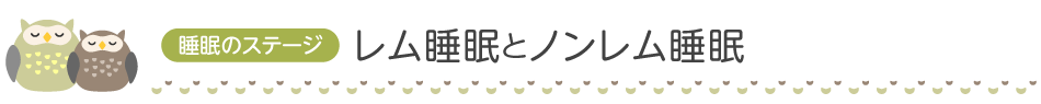 睡眠のステージ：レム睡眠とノンレム睡眠